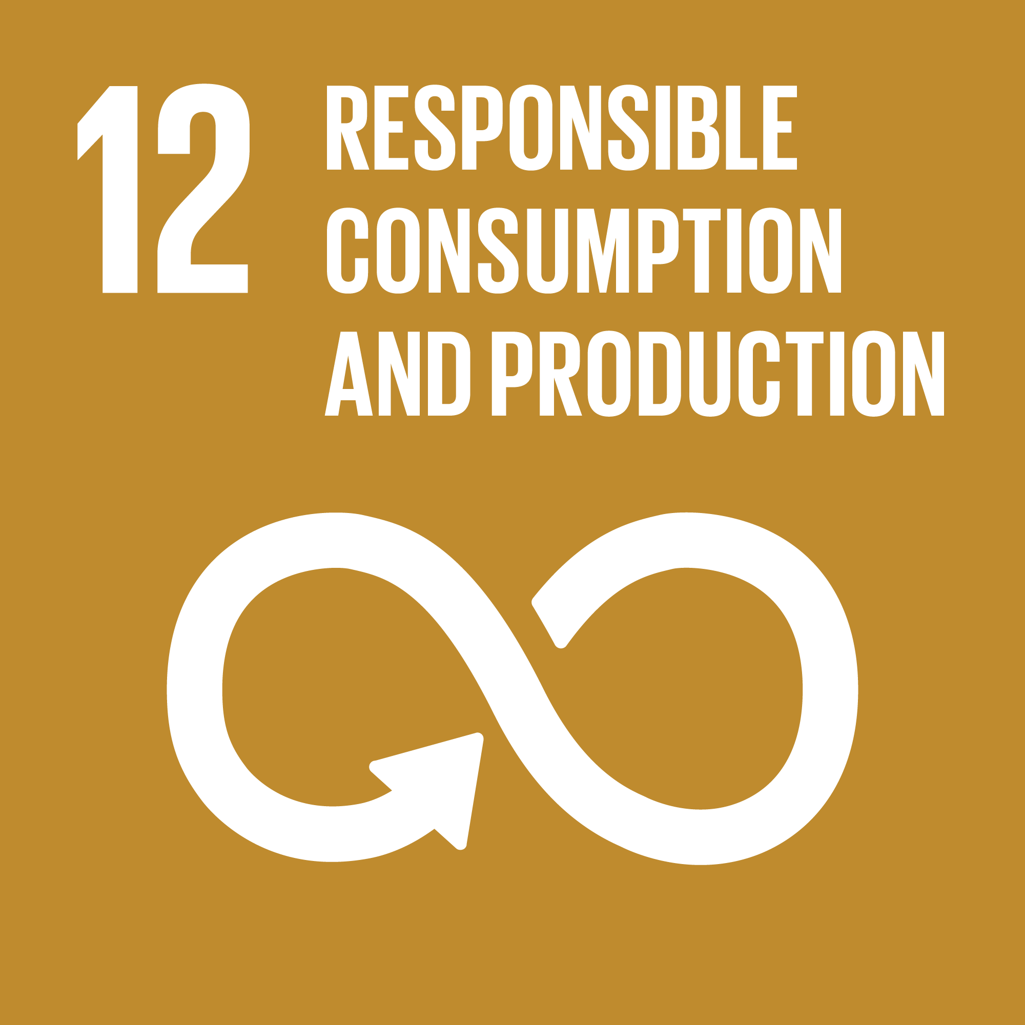 Sustainable Development Goal 12: SDG 12: Responsible Consumption and Production