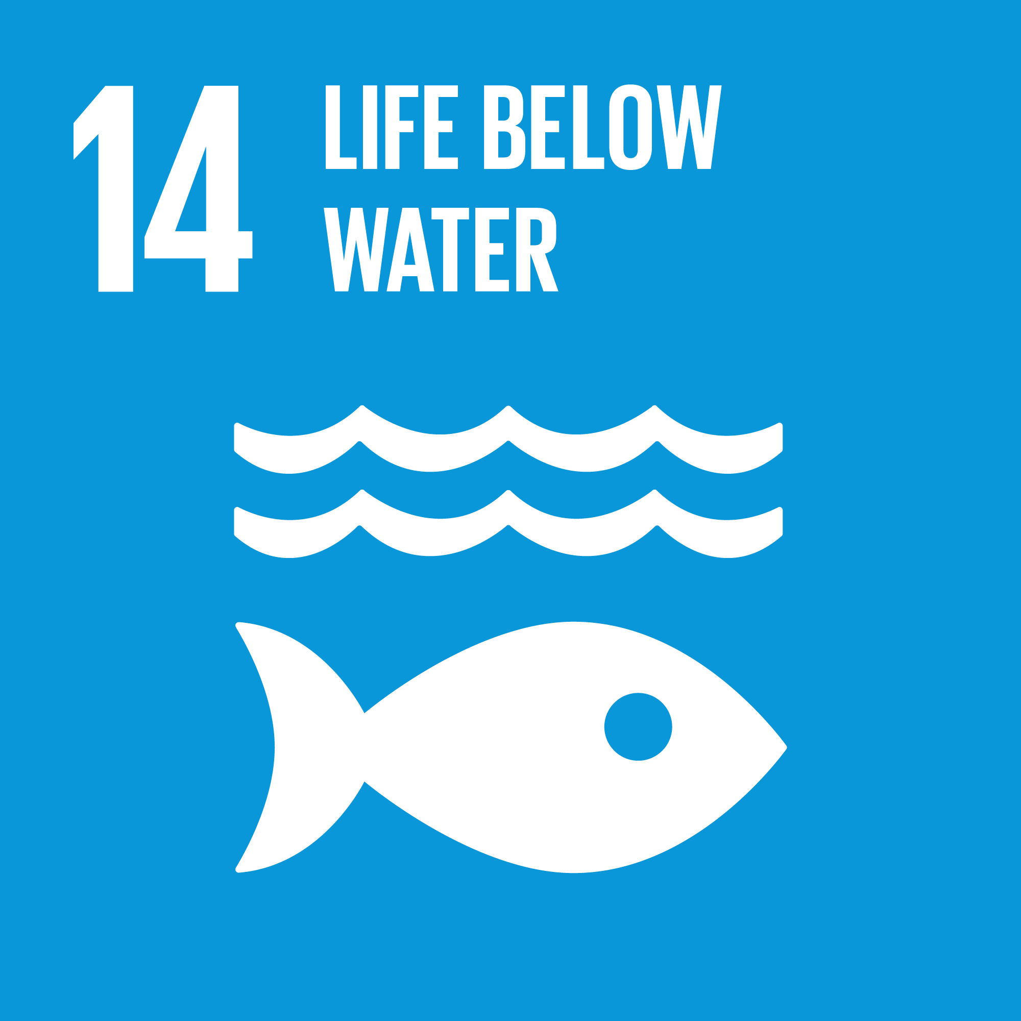 Sustainable Development Goal 14: SDG 14: Life Below Water